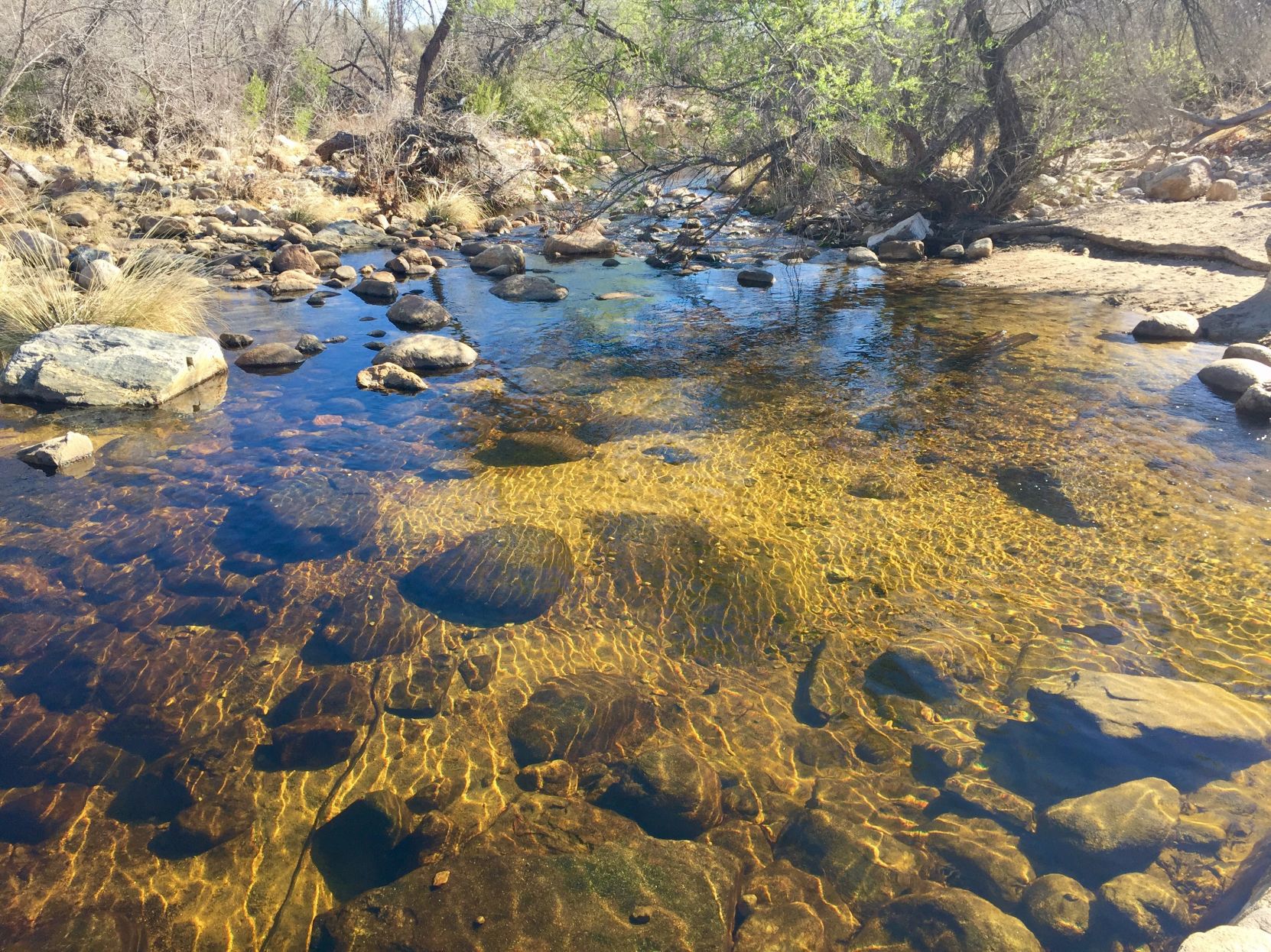 Sabino flowing again